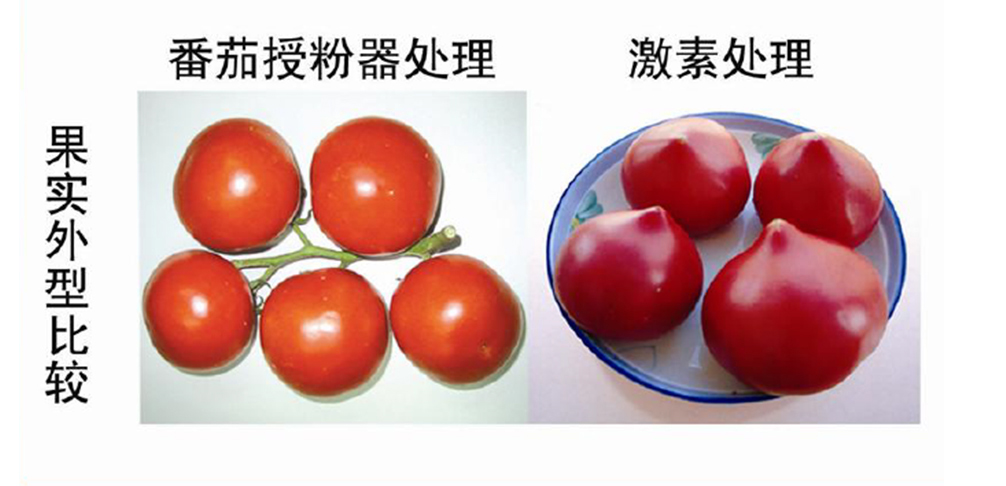 收费器1.jpg