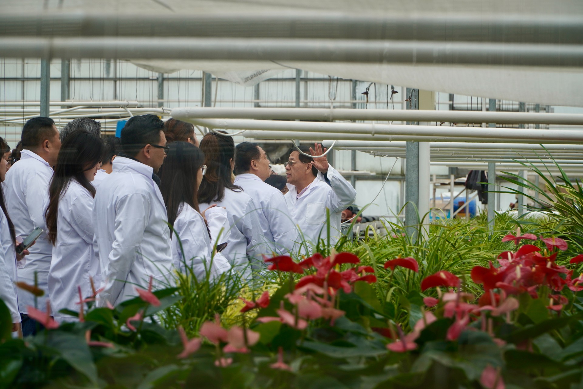 微信图片_20251028164955.jpg 微信图片_20251028164955.jpg