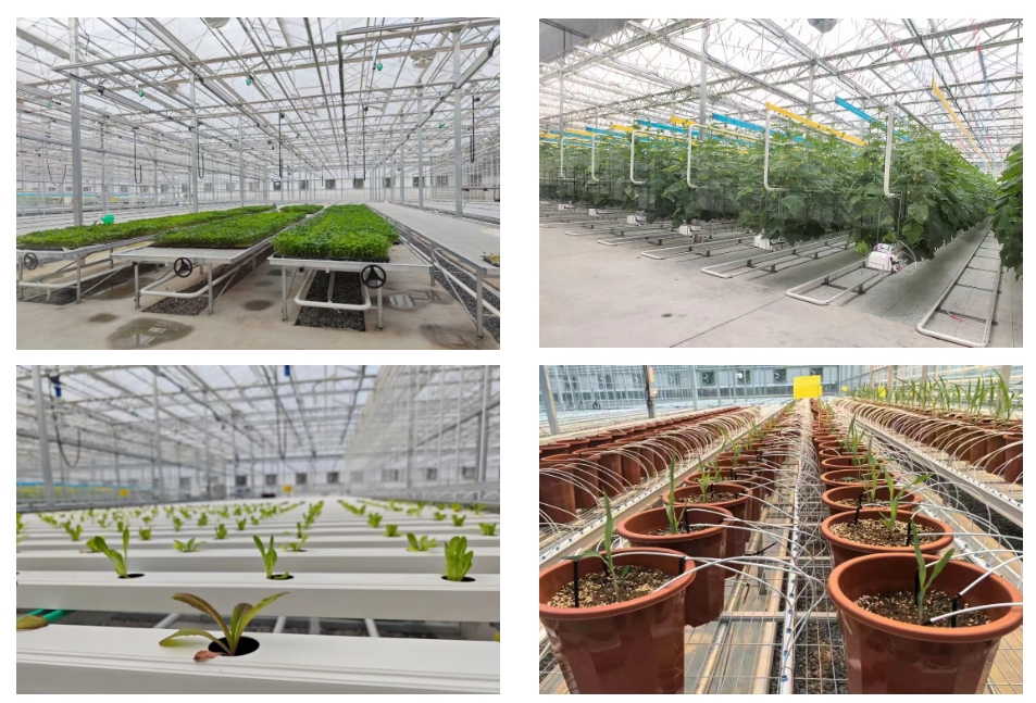 微信截图_20251202153743.png 微信截图_20251202153743.png